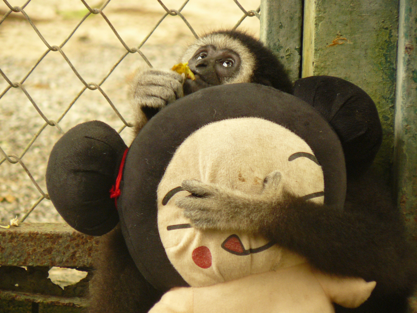 C'est mon doudou à moi...