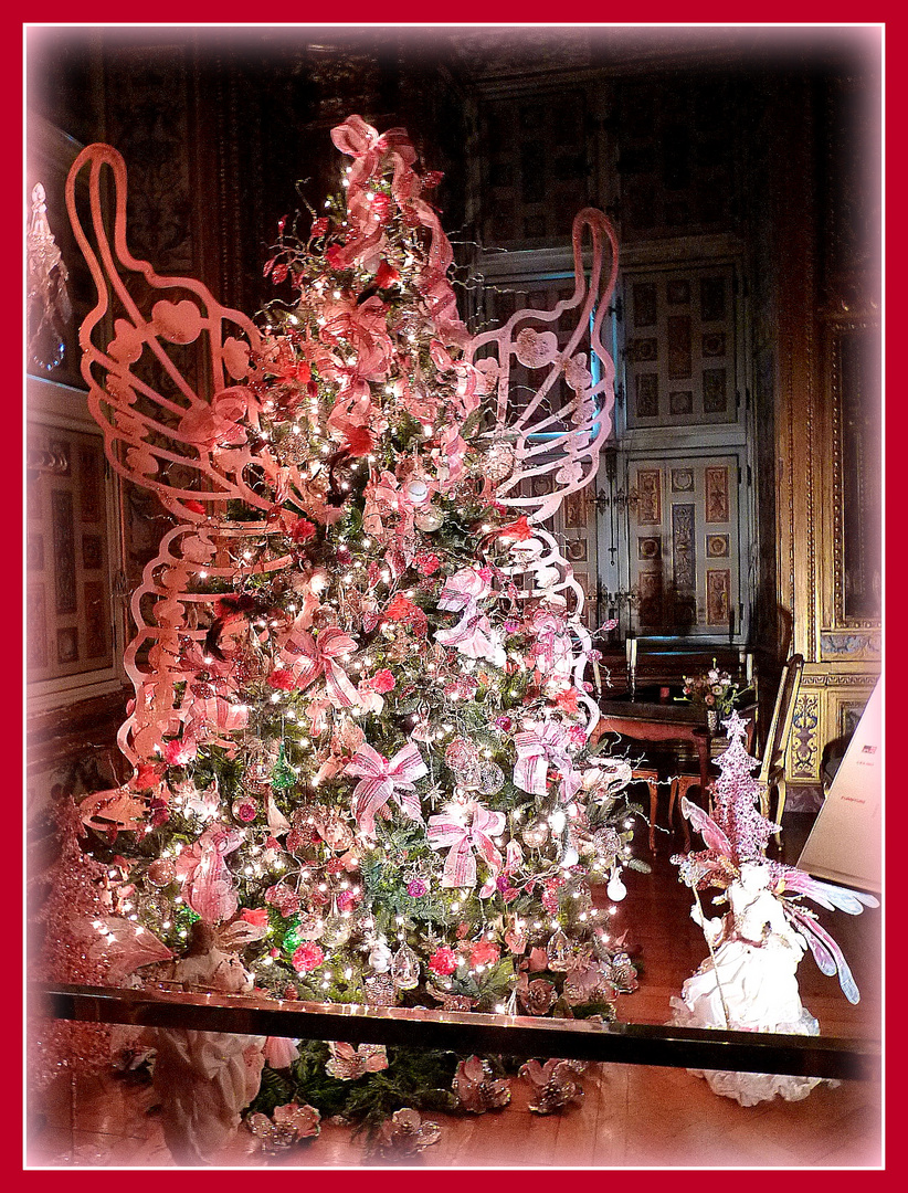 C'EST NOEL aussi à Vaux le Vicomte .- 2 -