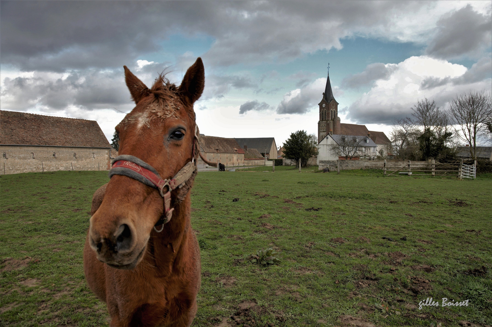 c'est pour ton exercice sur les scènes de la vie rurale que tu me fais le portrait?