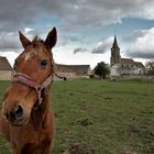 c'est pour ton exercice sur les scènes de la vie rurale que tu me fais le portrait?