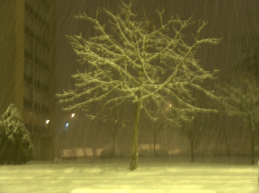 c'est super d'avoir de la neige