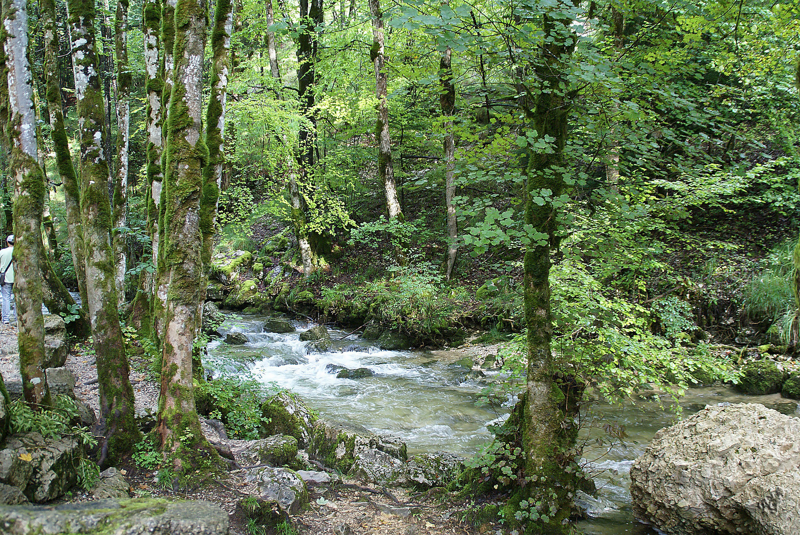 C'est toujours la même eau qui coule ....