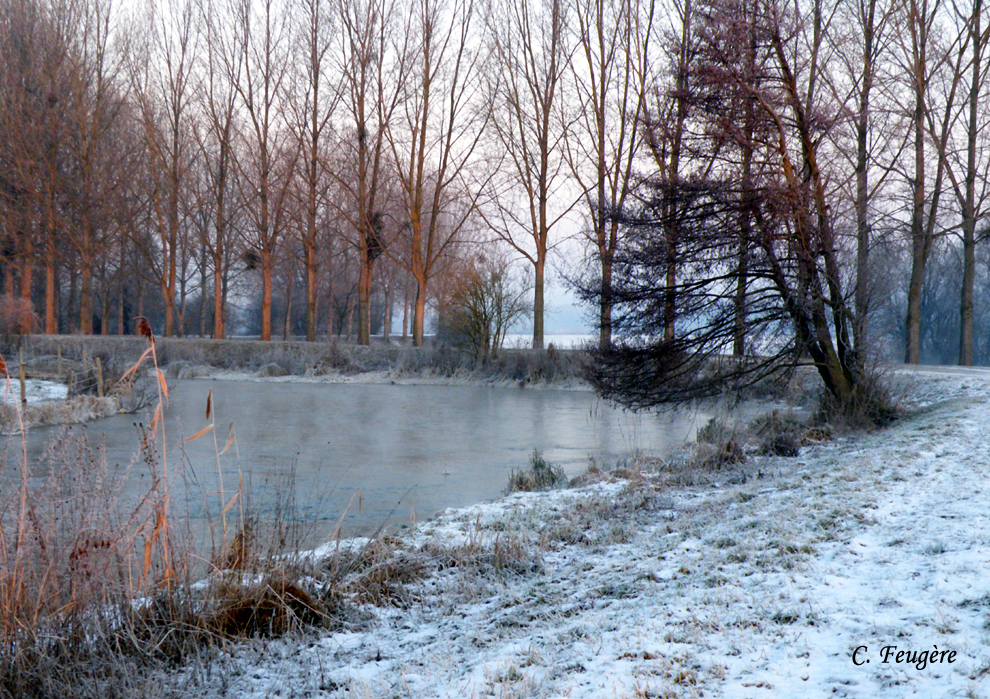 C'est toujours l'hiver