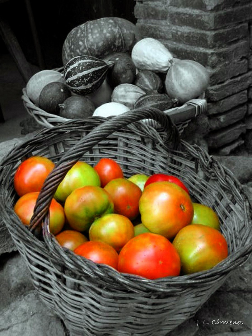 Cesta de tomates