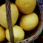   Cesto de limones 