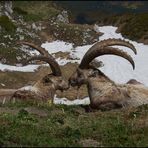 cet après-midi au col de Bise 1