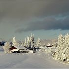 cet après-midi au Forchat (74 ) 1