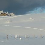 Cet après-midi au Forchat (au-dessus de Thonon les bains )2