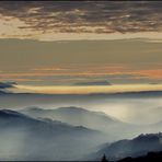 Cet après-midi au Forchat ( près de Thonon les bains )