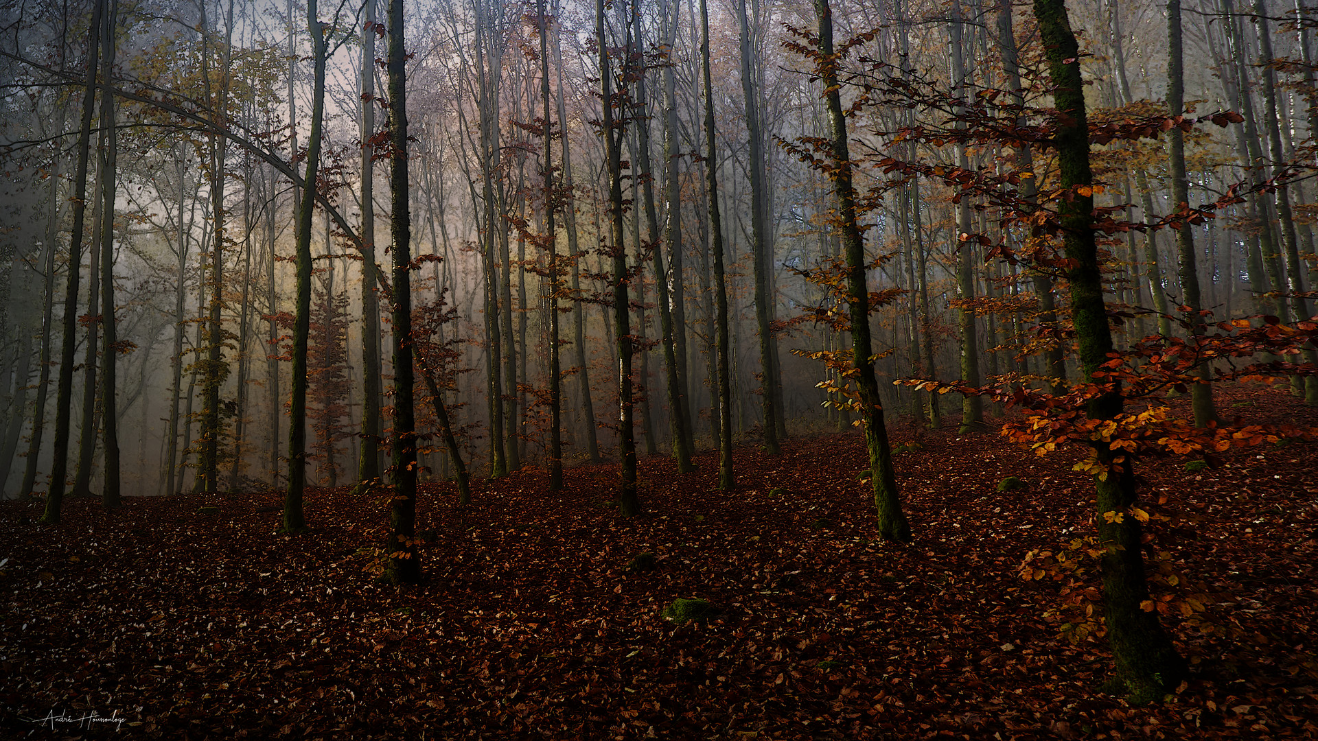 C'était en automne