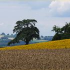 C’était l’été 4….. - Es war Sommer 4…..