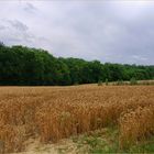 C’était l’été….1 - Es war Sommer…1