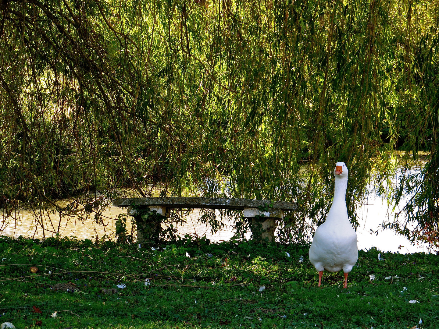 ...cette banc est la mienne !!!...