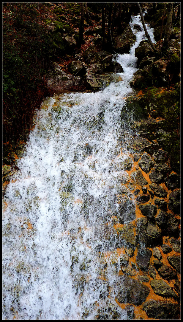 Cévennes