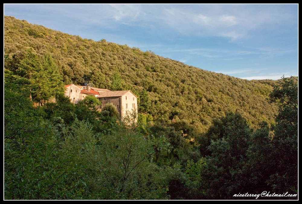 CEVENNES