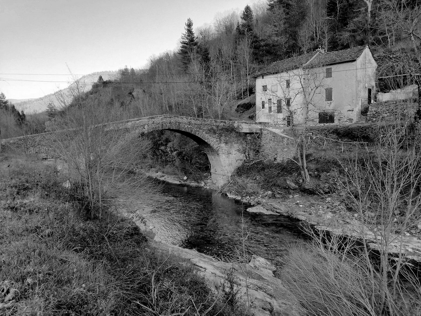 Cévennes ....