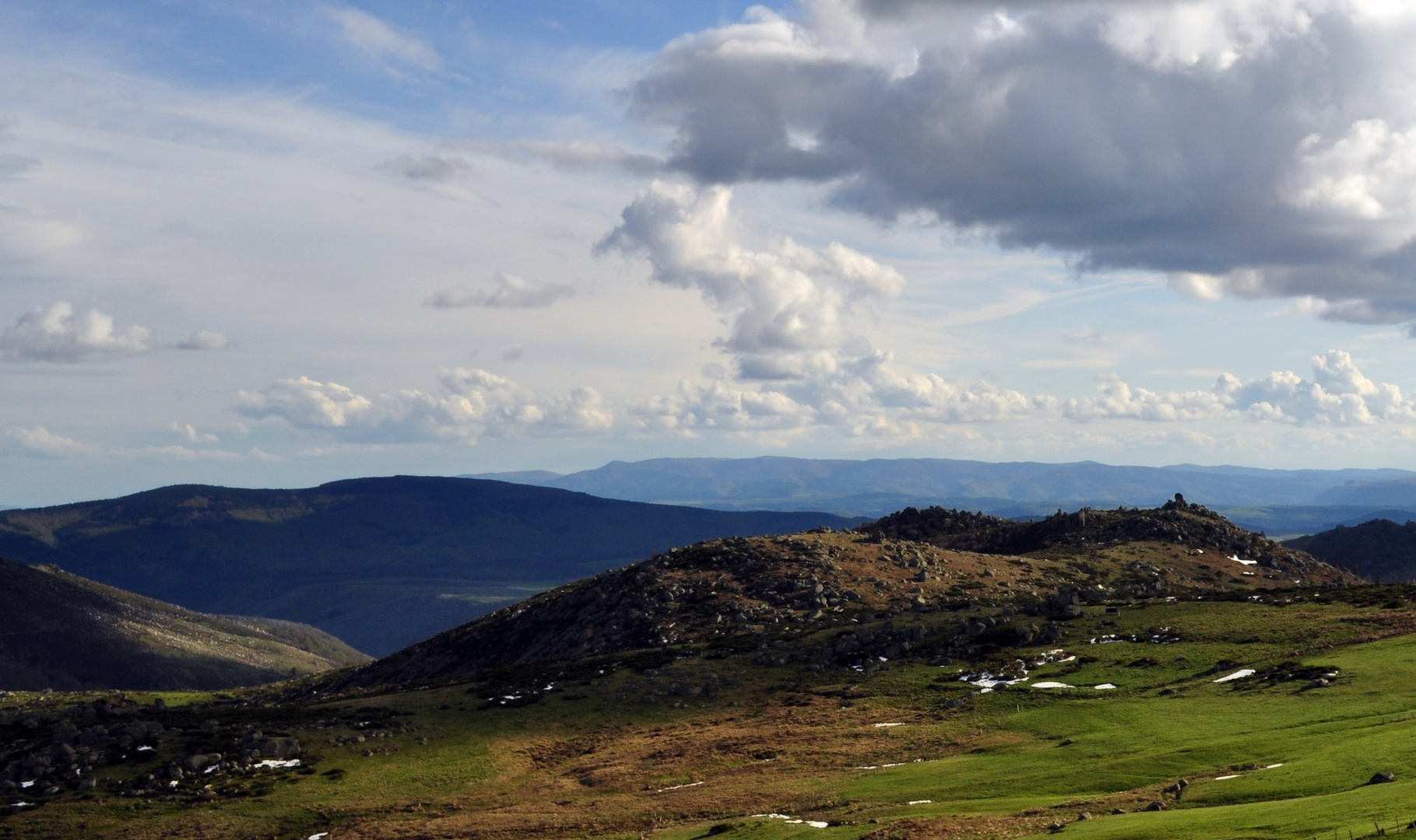 Cevennes