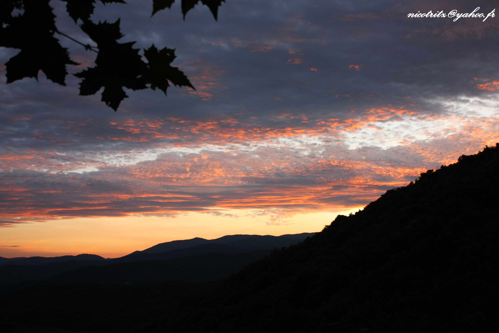 cevennes