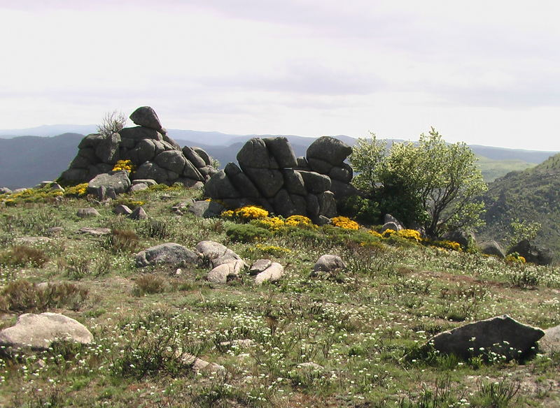 Cévennes