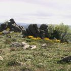 Cévennes