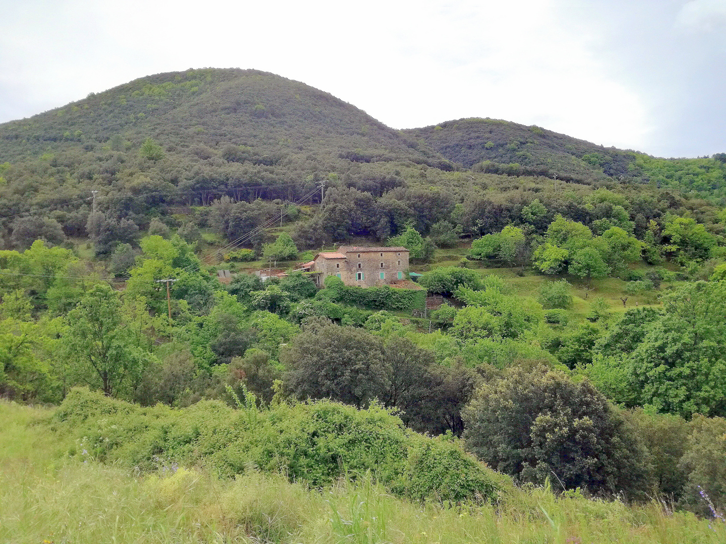 Cevennes profondes ...