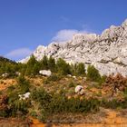 Cezanne`s Lieblingsgebirge 4
