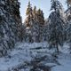 Winterlandschaft im Harz