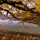 Herbst am Walchensee