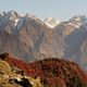 ... Indian Himalayas - Rhododendron in bloom ...