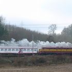 CFL 5519/1604 Sonderfahrt 25.01.09