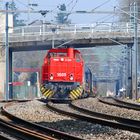 CFL-Cargo 1505 mit Leerzug