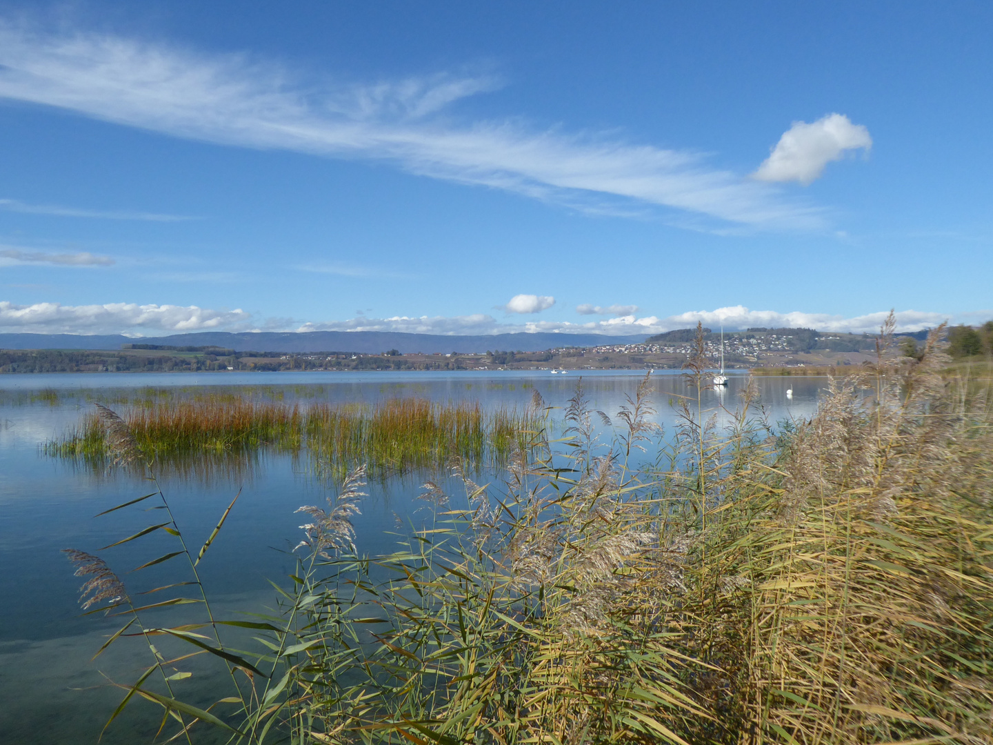 CH Murtensee mit Mt. Vully,  Nov. 2018