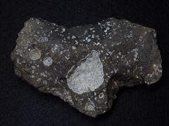 Chabasit in Plateaubasalt von Egilstadir, Island