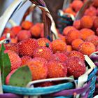 Chachnou-Arbouse-Strawberry tree