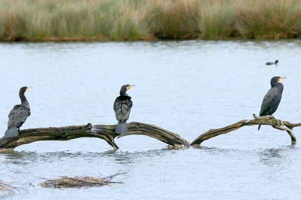 chacun a sa place !!!!