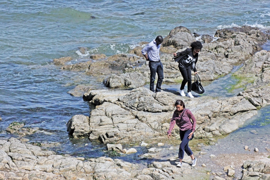 Chacun sa façon de profiter de la mer