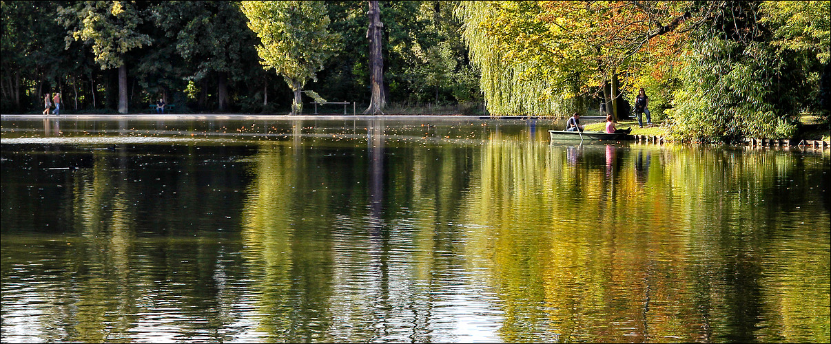 Chacun sa promenade .