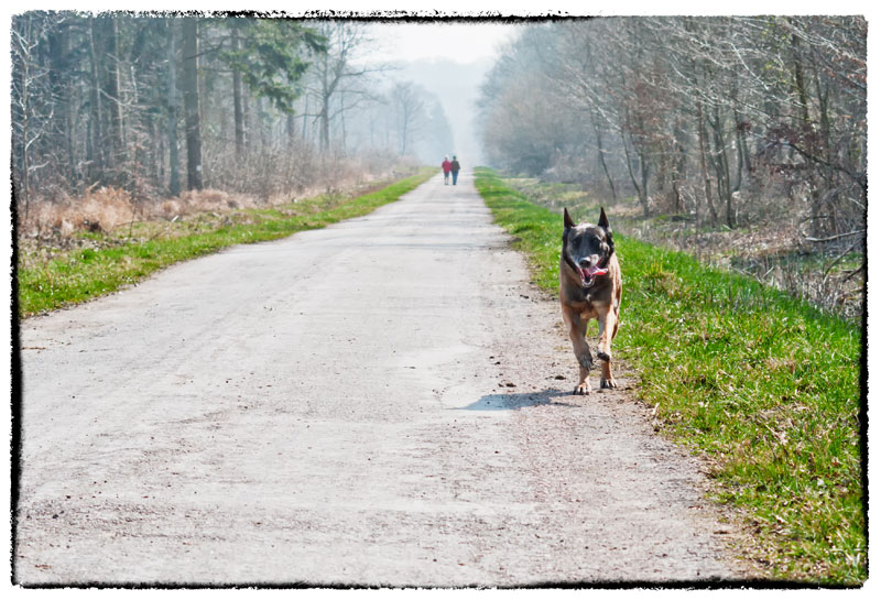 chacun sa route