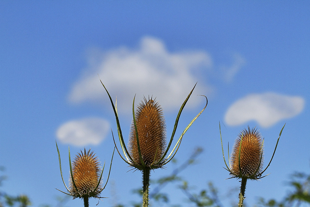 chacun son nuage !