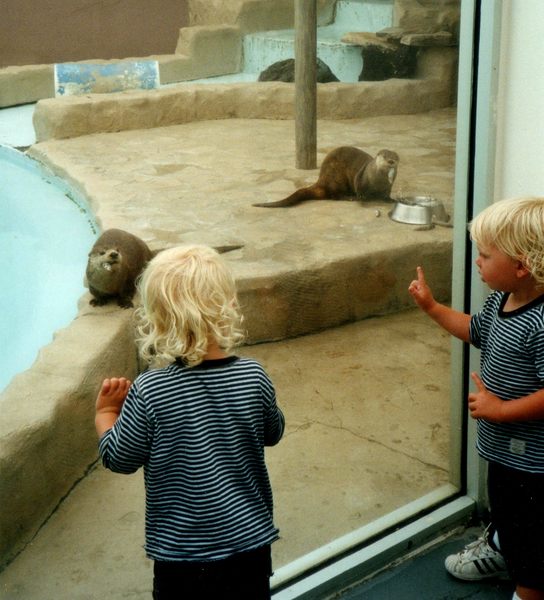 Chad and Garret and the otters