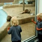 Chad and Garret and the otters