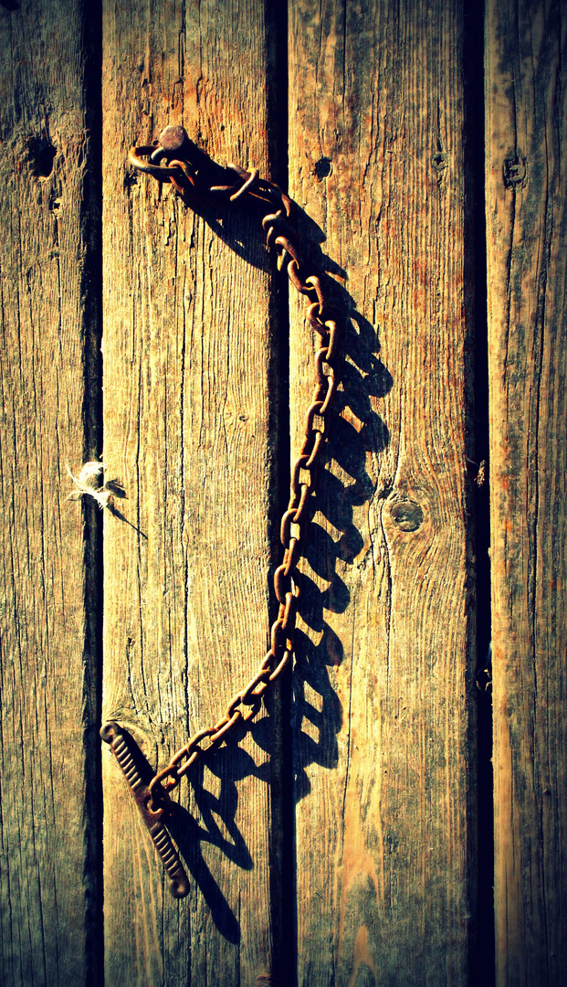 Chain