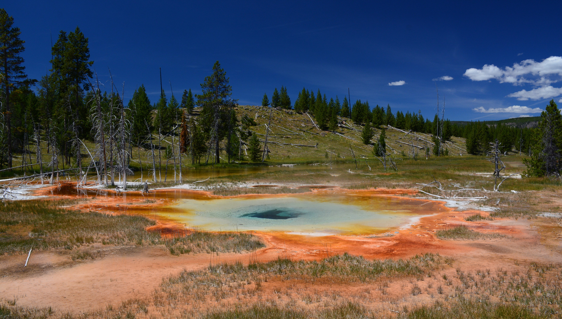 Chain Lake - Upper Geyser Basin