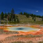 Chain Lake - Upper Geyser Basin