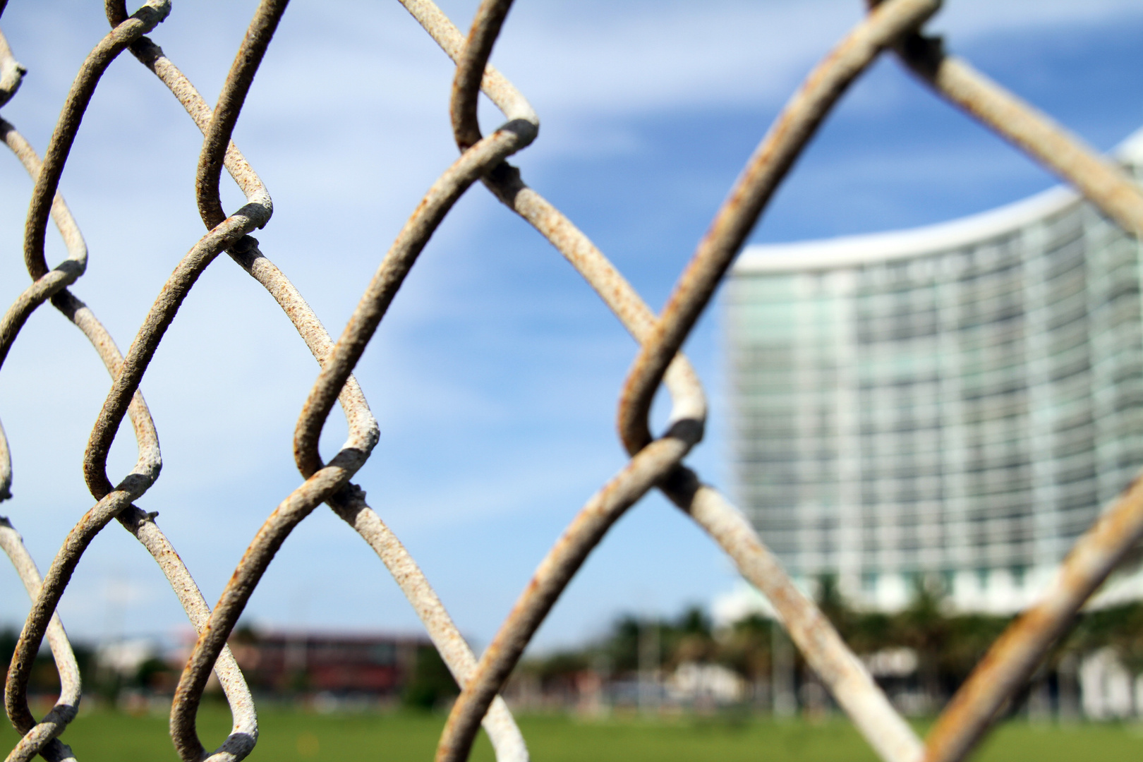 Chain Link Fence