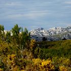 Chaine des Alpilles