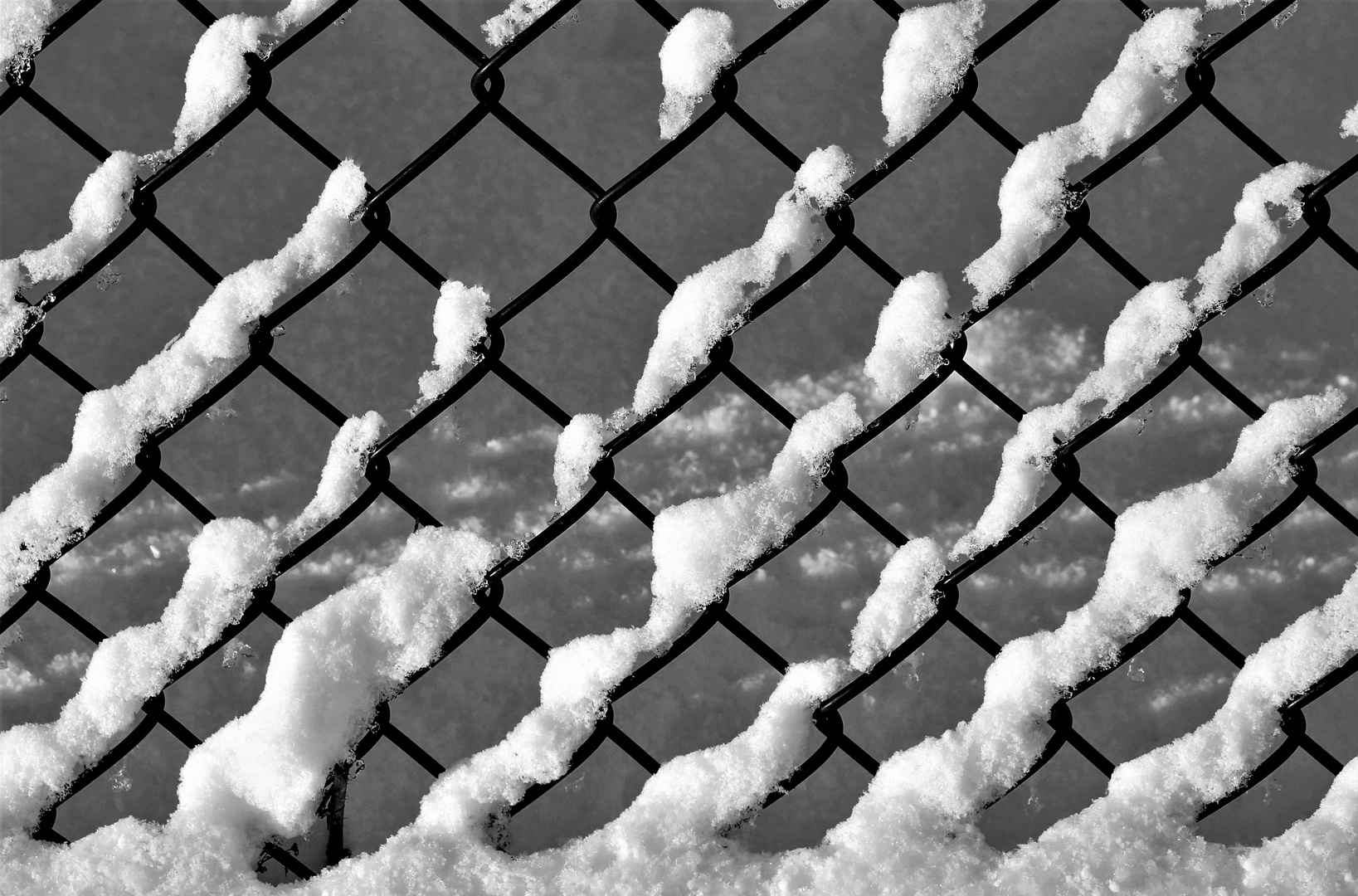 chainwire fence - BF 20201225