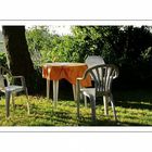 Chair family enjoys the rays of the warming sun...( as the table waits for breakfast)