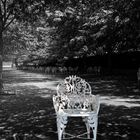 ... chair in the park ...