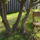 chair under tree